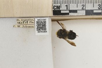 Media type: image;   Entomology 791864 Aspect: Labels